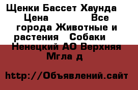 Щенки Бассет Хаунда  › Цена ­ 25 000 - Все города Животные и растения » Собаки   . Ненецкий АО,Верхняя Мгла д.